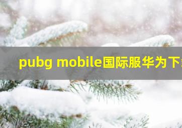 pubg mobile国际服华为下载